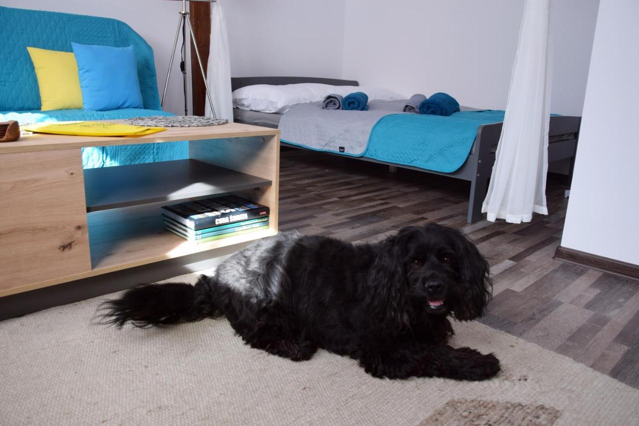 Apartament Gornicza W Kowarach Kowary Exteriör bild